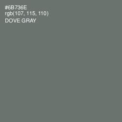 #6B736E - Dove Gray Color Image